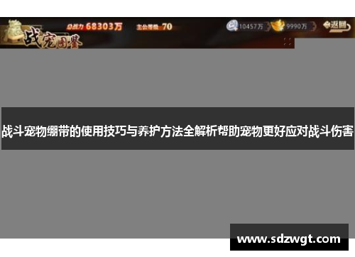 战斗宠物绷带的使用技巧与养护方法全解析帮助宠物更好应对战斗伤害