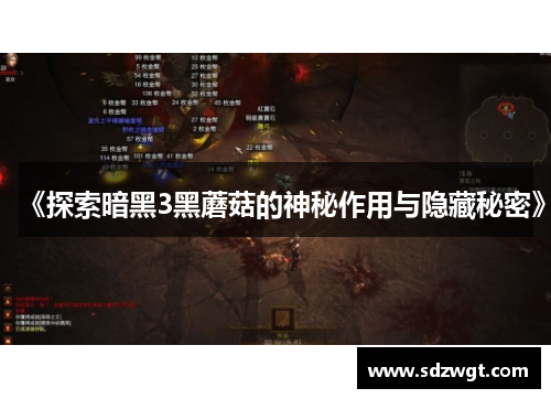 《探索暗黑3黑蘑菇的神秘作用与隐藏秘密》